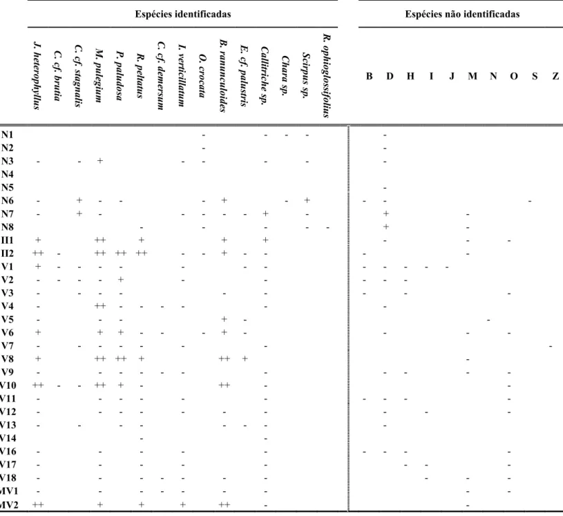 Tabela IV – Classificação das espécies de plantas aquáticas como Rara (-), Frequente (+) e Abundante (++), com divisão entre Espécies Identificadas e Espécies Não Identificadas.