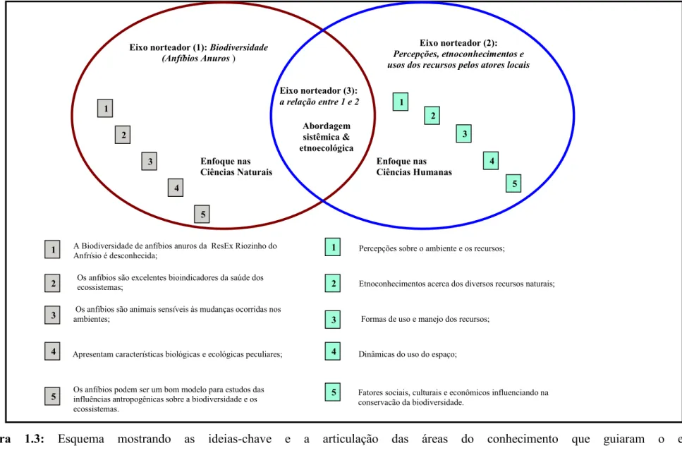 Figura 1.3: Esquema  mostrando  as  ideias-chave  e  a  articulação  das  áreas  do  conhecimento que  guiaram  o  estudo.