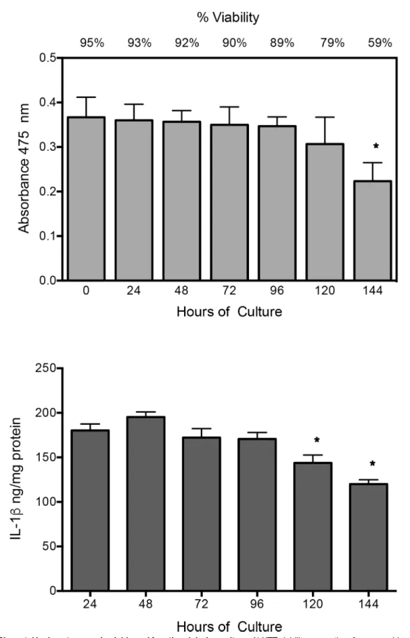 Fig 1. Placental leukocytes remain viable and functional during culture. A) XTT viability assay, time 0 was consider as 95% of viability according to trypan blue staining