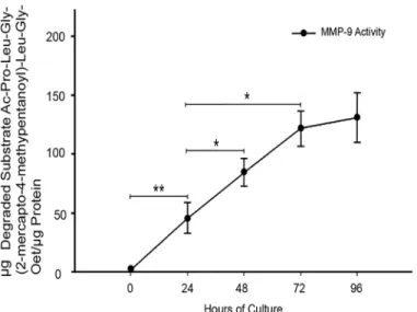 Fig 3. MMP-9 activity increases in placental leukocyte supernatants in a time-dependent manner.