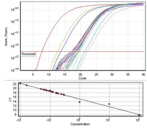 Figure 1.  qRT-PCR  cycle  quanti- quanti-tation  and  standard  concentration  graphics of ADAMTS6