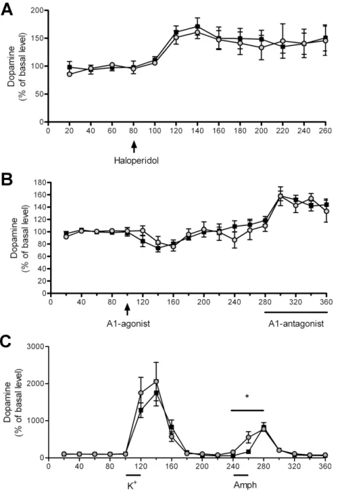 Figure 4. Characterization of dopaminergic transmission in PAP 2/2 mice by microdialysis