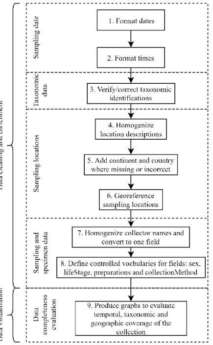 Figure 3.1 Steps employed in data cleaning and visualization for the MNHNC insect collection catalogue