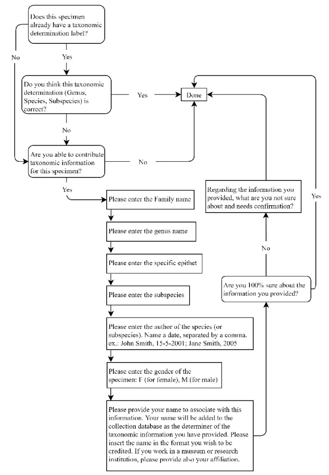 Figure 4.2 Flowchart representing the tasks in the taxonomic identification workflow of the project developed on the Zooniverse  platform