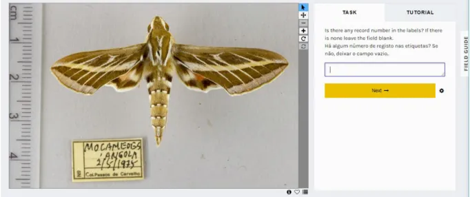 Figure 4.3 Image of the first task that volunteers were asked to complete in the transcription workflow of the project developed  on the Zooniverse platform