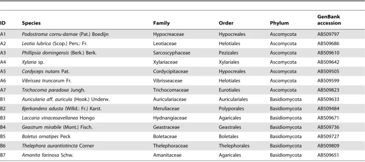 Table 2. Seven ascomycete and seven basidiomycete fungi are shown with the accession numbers of their ITS sequences.