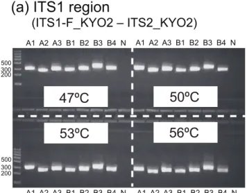 Table 2 for the abbreviations of fungal specimens. N, negative control.