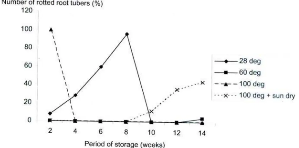 Fig. 9. - Thermal treatment effect on root tubers of Irish potatoes 