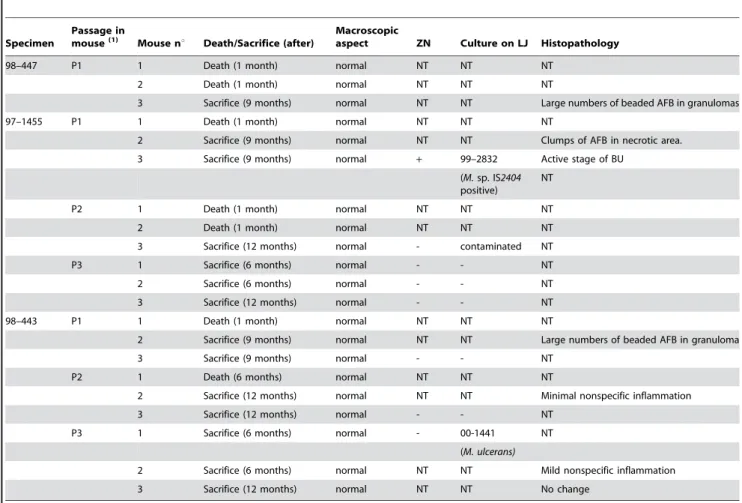 Table 2. Results of inoculation of mouse footpads with BACTEC cultures of 2 environmental specimens