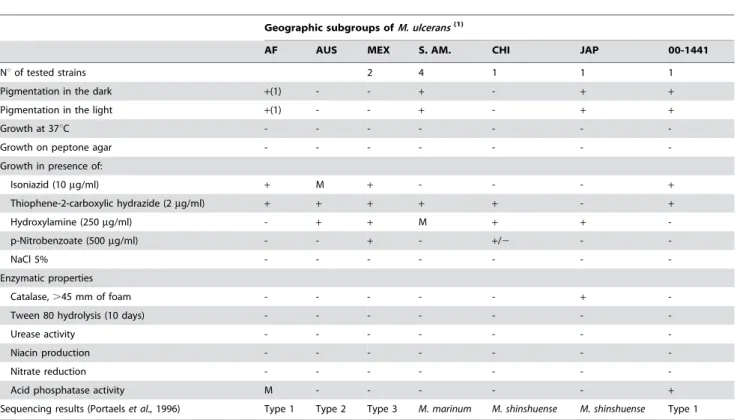 Table 3. Phenotypic characteristics of isolate 00-1441 and M. ulcerans geographic subgroups