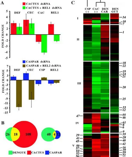 Figure 3. Comparative analysis of the dengue virus infection-responsive and Rel1 and Rel2 regulated transcriptomes