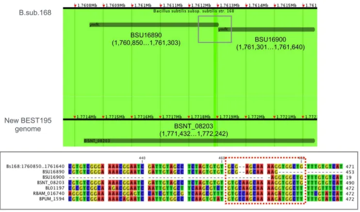 Figure 5. The improvable gene in the Marburg 168 genome by the complete BEST195 genome