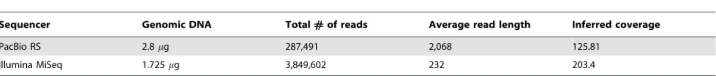 Figure 1 shows a genetic map of B. subtilis BEST195 chromosome generated using DNAPlotter [32].