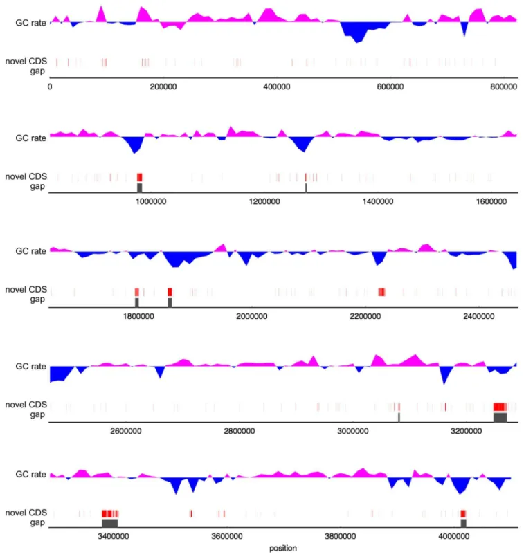 Figure 4. GC rate with novel CDSs and regions corresponding to gaps in the previous genome