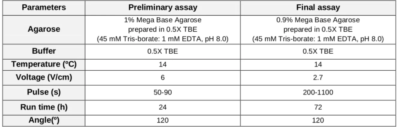 Table 2 – Summary of the PFGE running parameters used.   