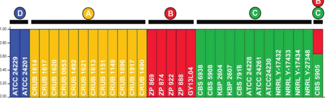 Figure 7 - Ancestry of X. dendrorhous estimated with Structure software. Each column represents a different  strain and the different colors represent distinct populations inferred by Structure
