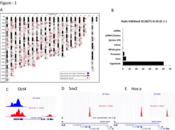 Table  1.  Gene  ontology  terms  of  differentially  methylated CpG island H3K9me2 sites.