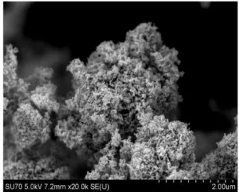 Fig. 1. SEM image of ZnO zinc oxide nanoparticle, x 20 k 