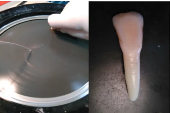 Figura 1 - Desgaste da superficie dentária na polidora. 