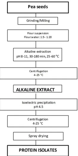 Figure 3. Schematic diagram of alkaline extraction and isoelectric precipitation process  for production of pea protein isolates (8) 