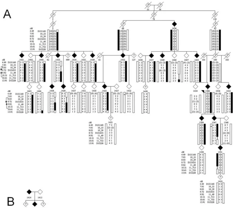 Figure 2. SCCD pedigrees. a) Family F105, showing affection status (filled symbols) and phased haplotypes generated by Simwalk for selected markers in the linked chromosomal region