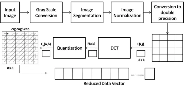 Figure 2. a) original image,  b) grayscale image. 