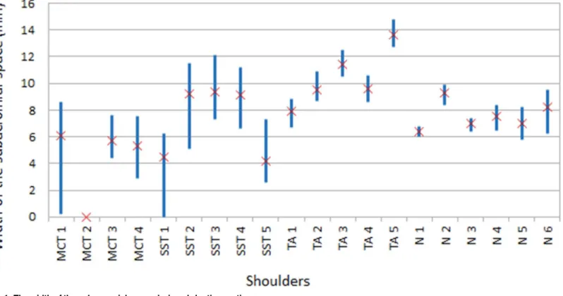 Fig 1. The width of the subacromial space during abduction motion.