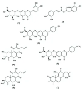 Figure  3.7.  Chemical  structure  of  compounds  present  in  P.  barbatus  herbal  tea:  1,  luteolin  7‐O‐ 