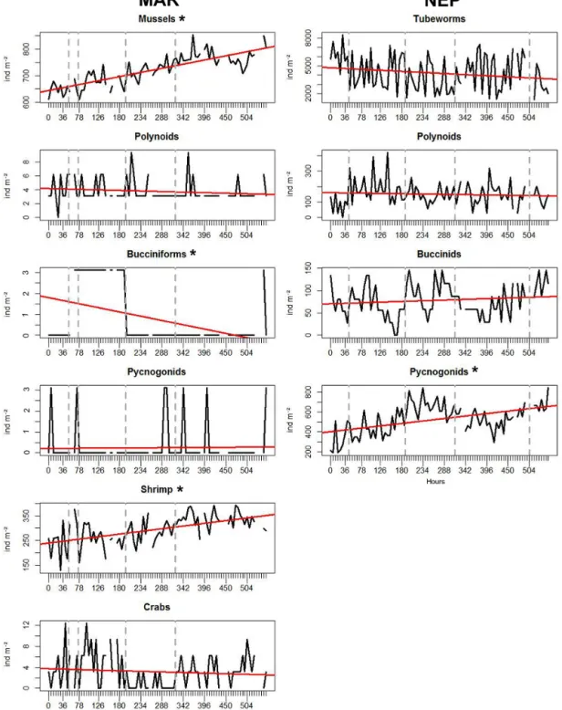 Figure 3. Temporal variations in faunal densities for MAR and NEP along with trend lines (in red) and MRT temporal groups (grey vertical dotted lines); x axis shows the sampling frequency every 6 h