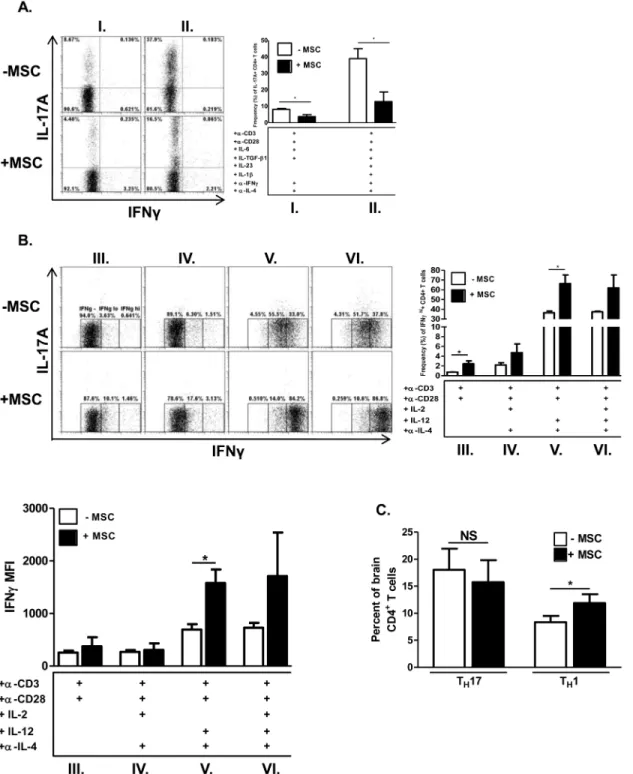 Fig 3. MSCs differentially affect cytokine production in effector CD4 + T cells in vitro and in vivo 