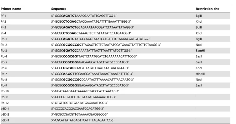 Table 1. Oligonucleotides used in this study.
