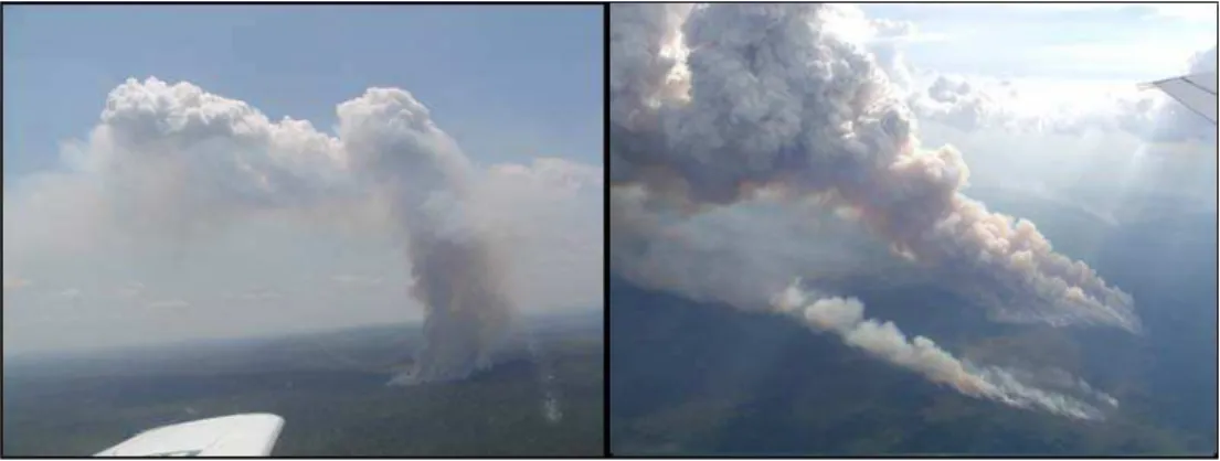 Fig. 1. Photographs of the smoke plume rise produced from two deforestation fires in the Amazon basin under calm (left) and windy (right) environments