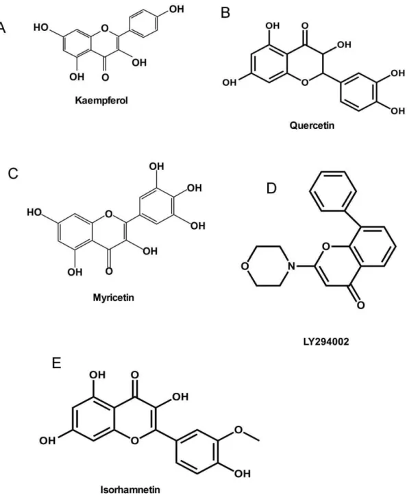 Figure 1. Chemical structures. (A) Chemical structure of kaempferol; (B) Chemical structure of quercetin