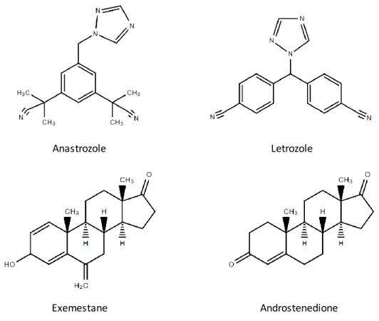Figure  8:  Skeletal  structures  of  the  third-generation  AIs:  anastrozole,  letrozole  and  exemestane,  and  a  comparison between the structures of exemestane and androstenedione.