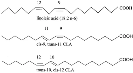 Figure 4 - Structures of linoleic acid, and CLA isomers (c9,t11) and (t10, c12) 