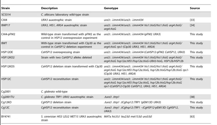 Table 1. Yeast strains used in this study.