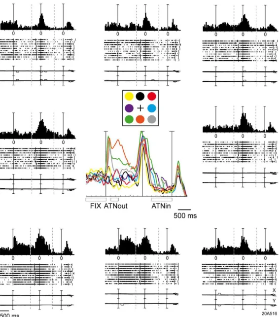 Fig. 3). Visual responses have short latency, small variability between trials, and a duration that matches the duration of the stimulus [see also 26]
