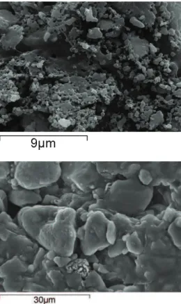 Fig. 1. SEM Image of the NEPE propellant  powder treated with HCl solution. 