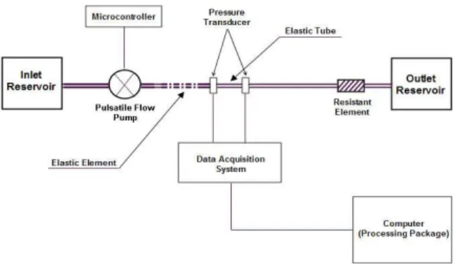Fig.  1:  Schematic  representation  of  the  experimental  setup 