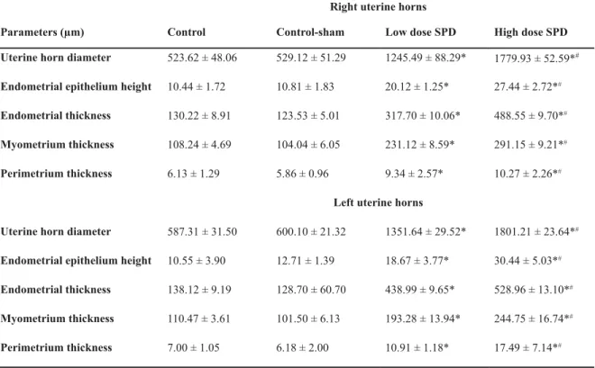 Table 3: Histomorphometric data for uterine horns in different groups. Sulpiride (SPD) administration increased uterine  horn diameter by elevating endometrial, myometrium and perimetrium thicknesses  