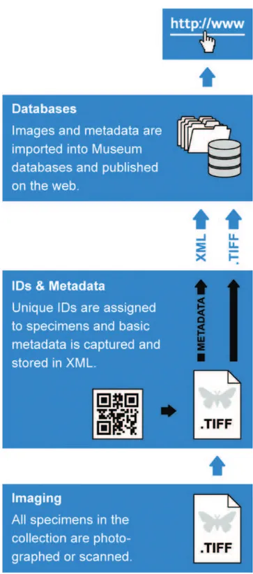 Figure 2. Image based digitization worklow consisting of four stages: Imaging, Metadata capture,  Institutional databading and Publication.