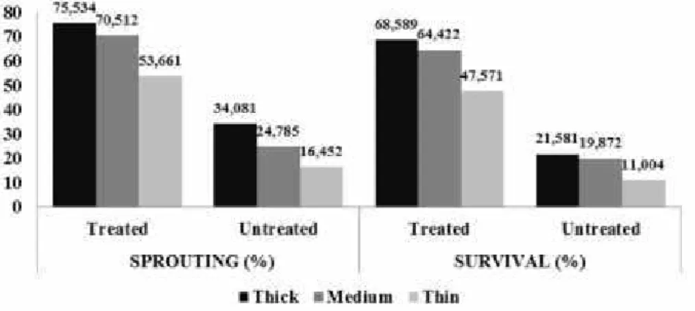 Figure 3. Effect of IBA on sprouting and survival of diameter vs treated/untreated