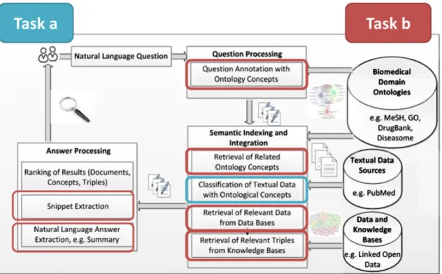 Figure 3.1: BioASQ organizers’ overview of semantic indexing and question answering in the biological domain.[100]