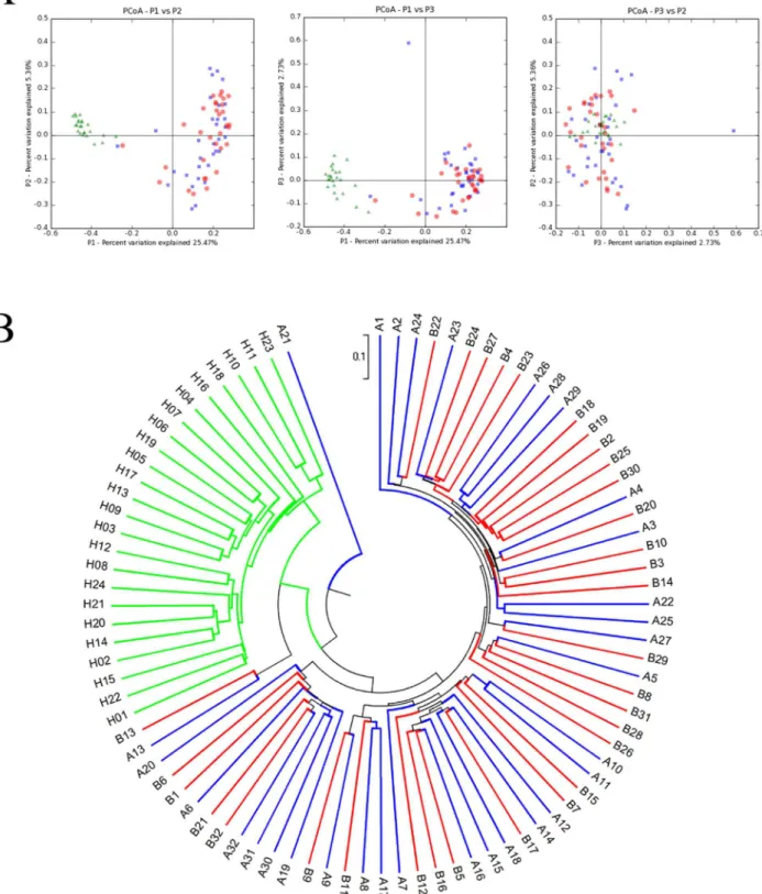 Fig 2. Principal component analysis (PCoA) and phylogenetic trees between the samples