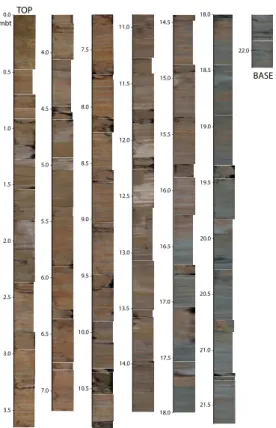 Figure 2. The San Nicolás-1 core. Composite photographic section. Note the change in color at 16.4 mbt, the laminated muds throughout the core, and some sand beds towards the top;