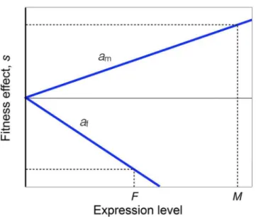 Fig 3. Schematic of the genetic model. The X-axis shows the expression of a locus, measured as the log of the number of transcripts, in males (M) and females (F)