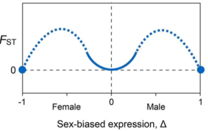 Fig 4. Qualitative conclusions from the genetic model. Genetic divergence between the sexes, measured as F ST , is minimized when gene expression is unbiased (Δ = 0), then increases quadratically for small degrees of female-biased and male-biased expressio