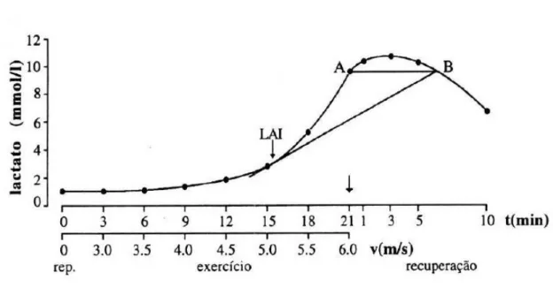 Figura  5  –.  Método  de  determinação  do  limiar  anaeróbio,  segundo  o  método  de  Stegmann e Kindermann (1981)