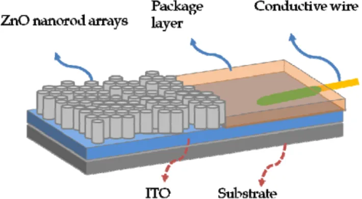 Fig. 1.  The schematic of ZnO nanorod modified ITO electrode.  