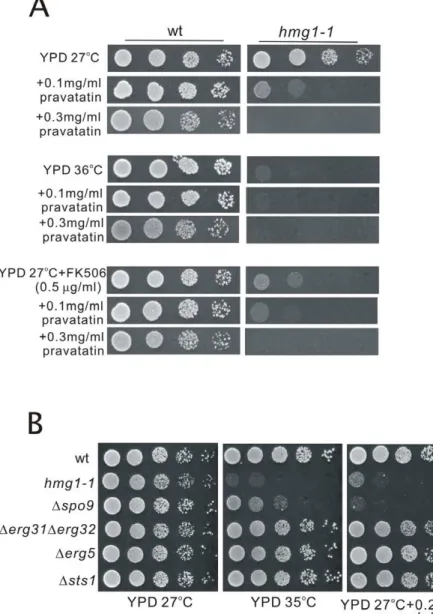 Table 1. Strains used in this study.